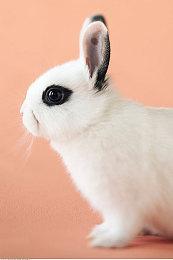 《暗黑4》利用赛季漏洞的玩家正被暴雪封号